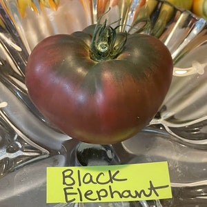 Black Elephant Tomato Seeds image 10