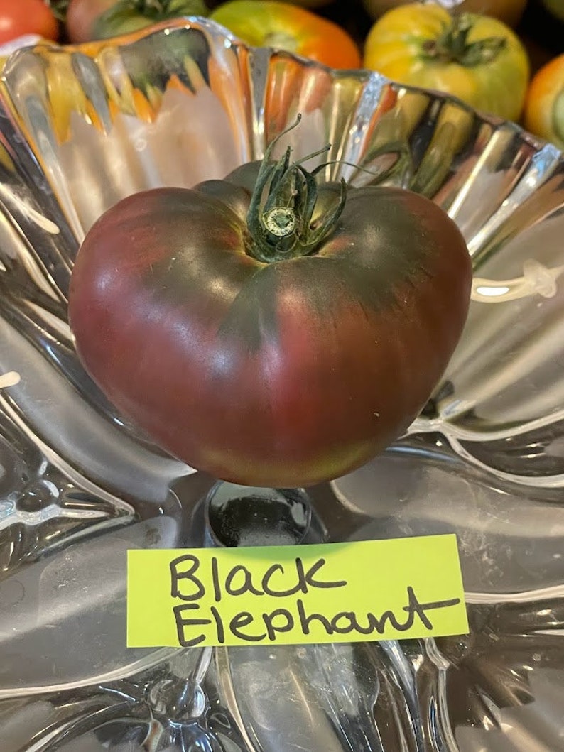 Black Elephant Tomato Seeds image 10
