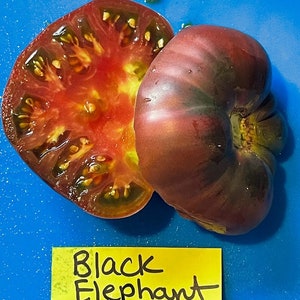 Black Elephant Tomato Seeds image 7