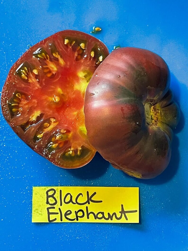 Black Elephant Tomato Seeds image 7