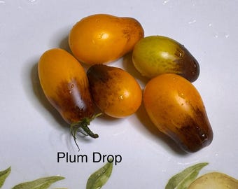 Plum Drop Tomato Seeds