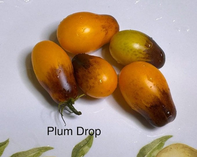 Plum Drop Tomato Seeds