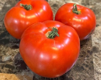 Mozark Tomato Seeds