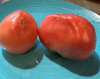 Zemer Kau Tomato Seeds
