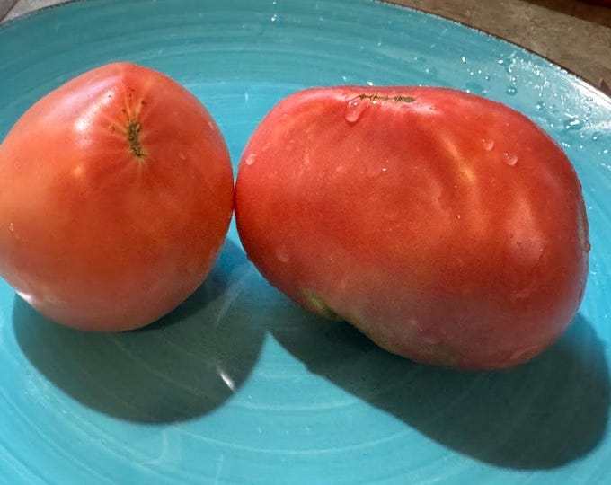 Zemer Kau Tomato Seeds