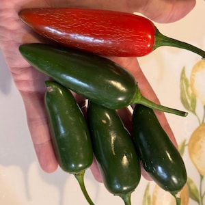 Jalafuego Jalapenopeperzaden