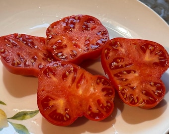 Nile River Egyptian Tomato Seeds