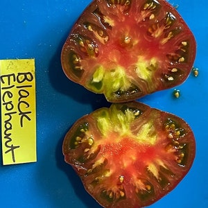 Black Elephant Tomato Seeds image 2