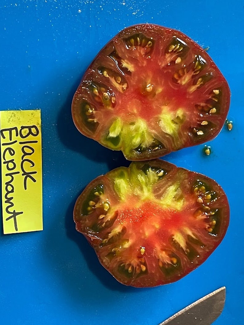 Black Elephant Tomato Seeds image 2