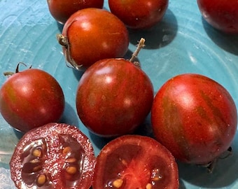 Ciliegino Nero di Turchia Tomato Seeds