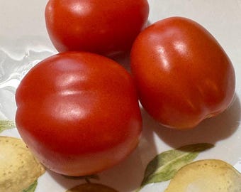 Dr. Spea's Atomic Tomato Seeds