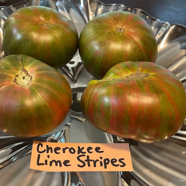 Cherokee Lime Stripes Tomato Seeds