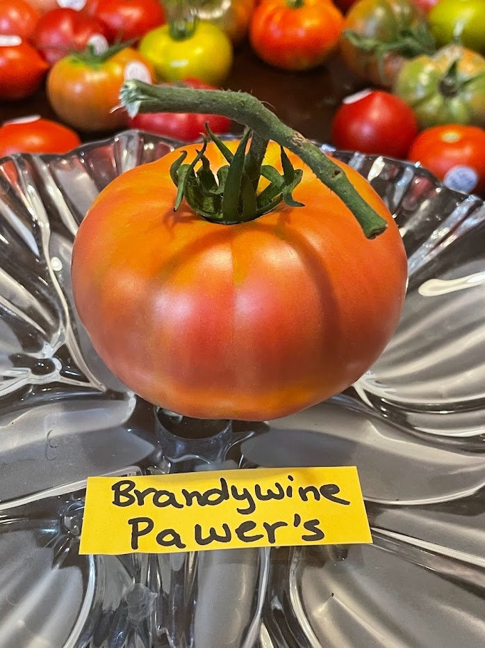 Tomato Seeds Brandywine Black – The Rusted Garden