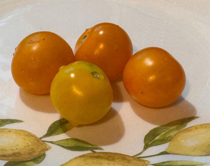 Auntie Esther's Cherry Tomato Seeds