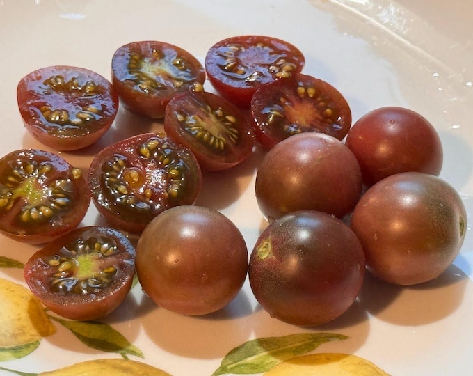 Morgan Love Tomato Seeds