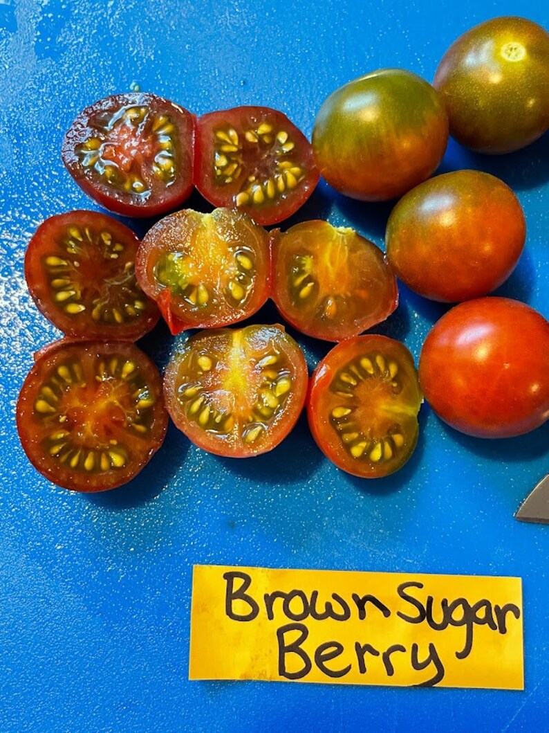 Brown Sugar Berry Tomato Seeds Etsy