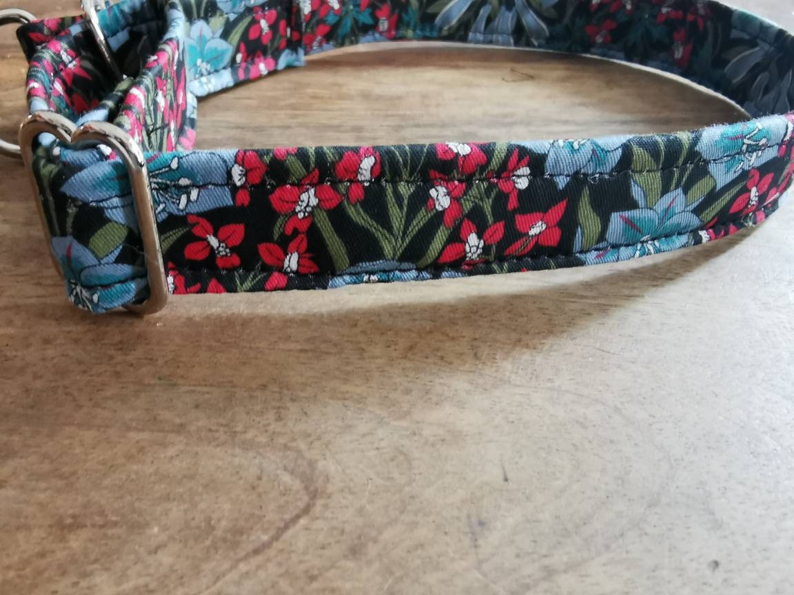 Collier Réglable Pour Chien à Martingale 2.5cm Bohound