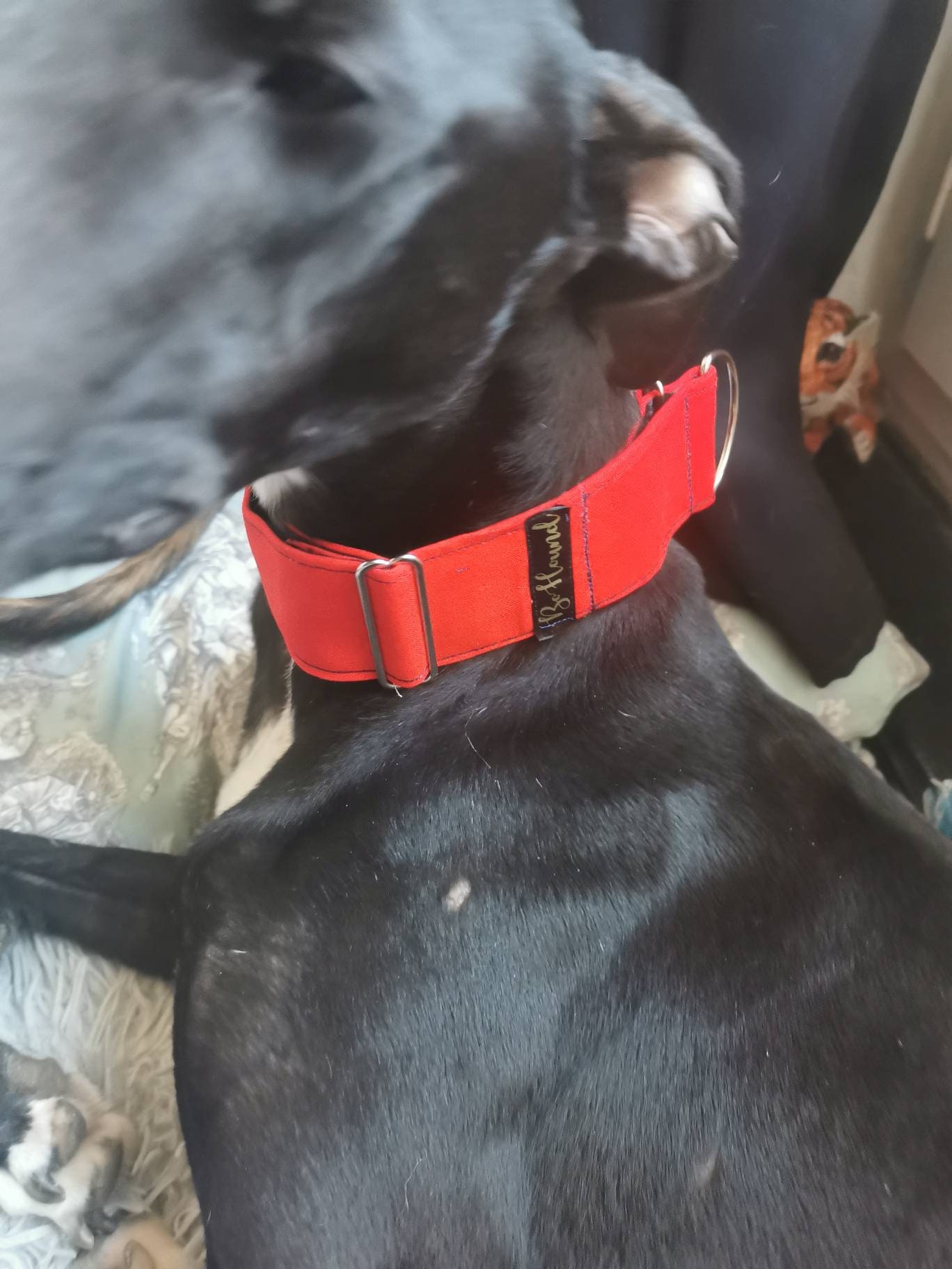 Collier à Martingale Réglable Pour Lévrier ou Autre Chien