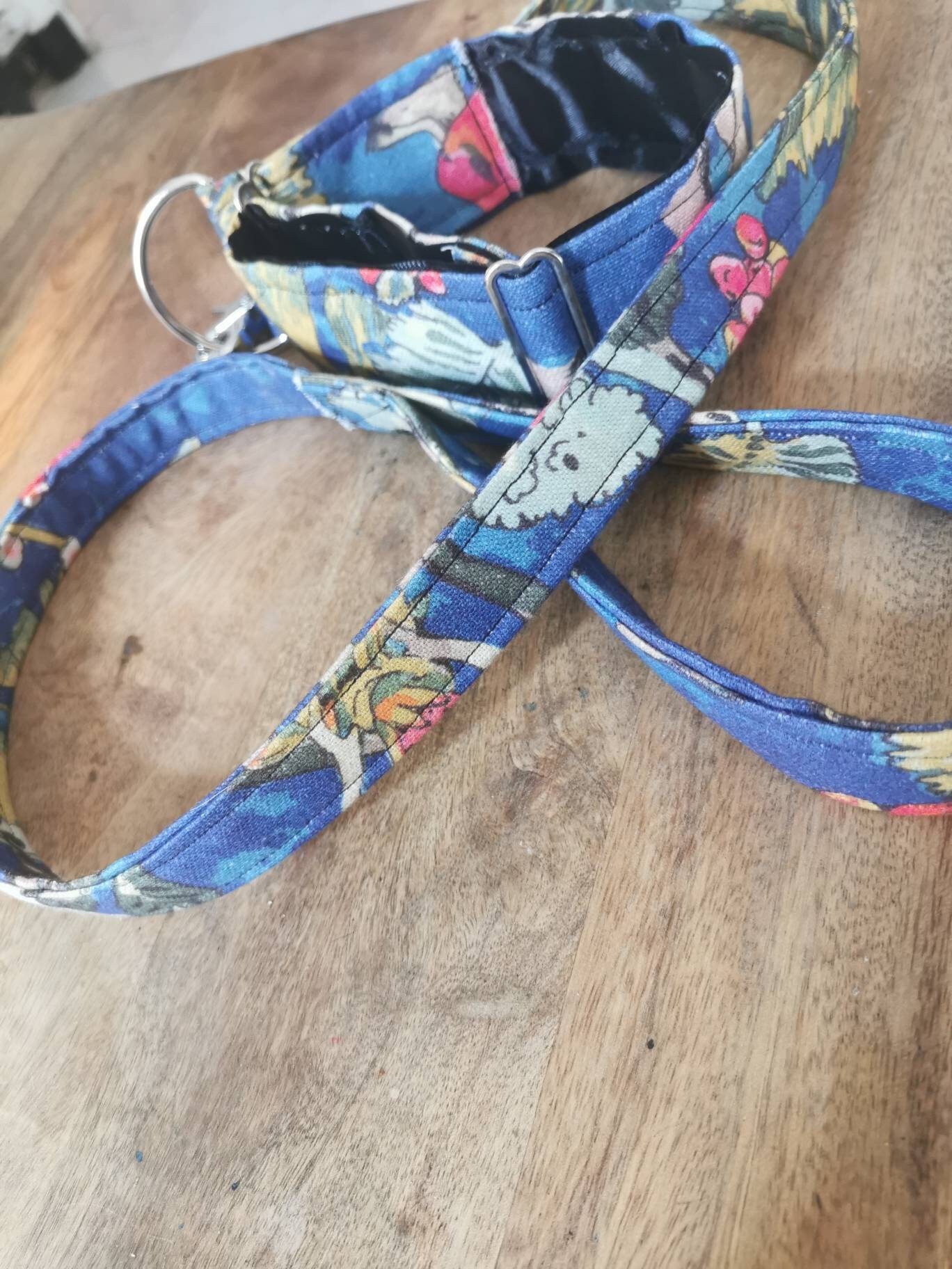 Collier + Laisse Lévrier ou Autre Chien Réglable à Martingale Tropical Bohound
