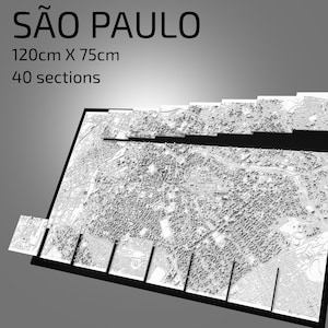 3D São Paulo | fichiers numériques | | de fichiers 3D STL Carte 3D de São Paulo | | d’art de ville en 3D | de repère imprimé en 3D Maquette de Sao Pãulo Skyline | Art 3D