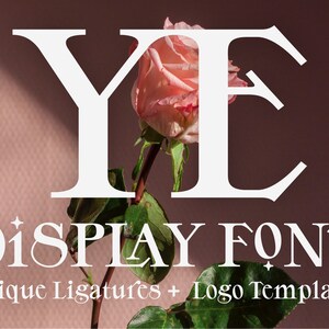 digital font download - YE