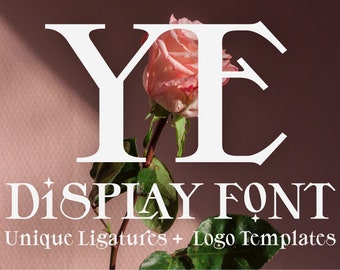 digital font download - YE