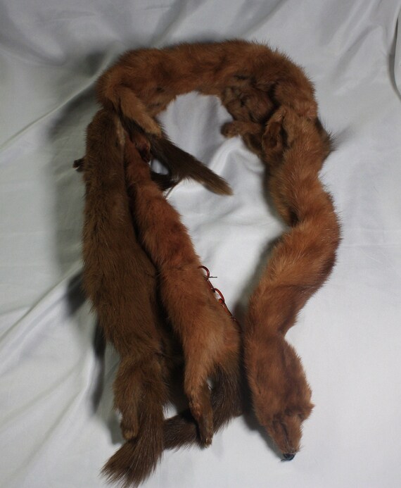 Estola de de armiño de color marrón / castaño - Etsy España