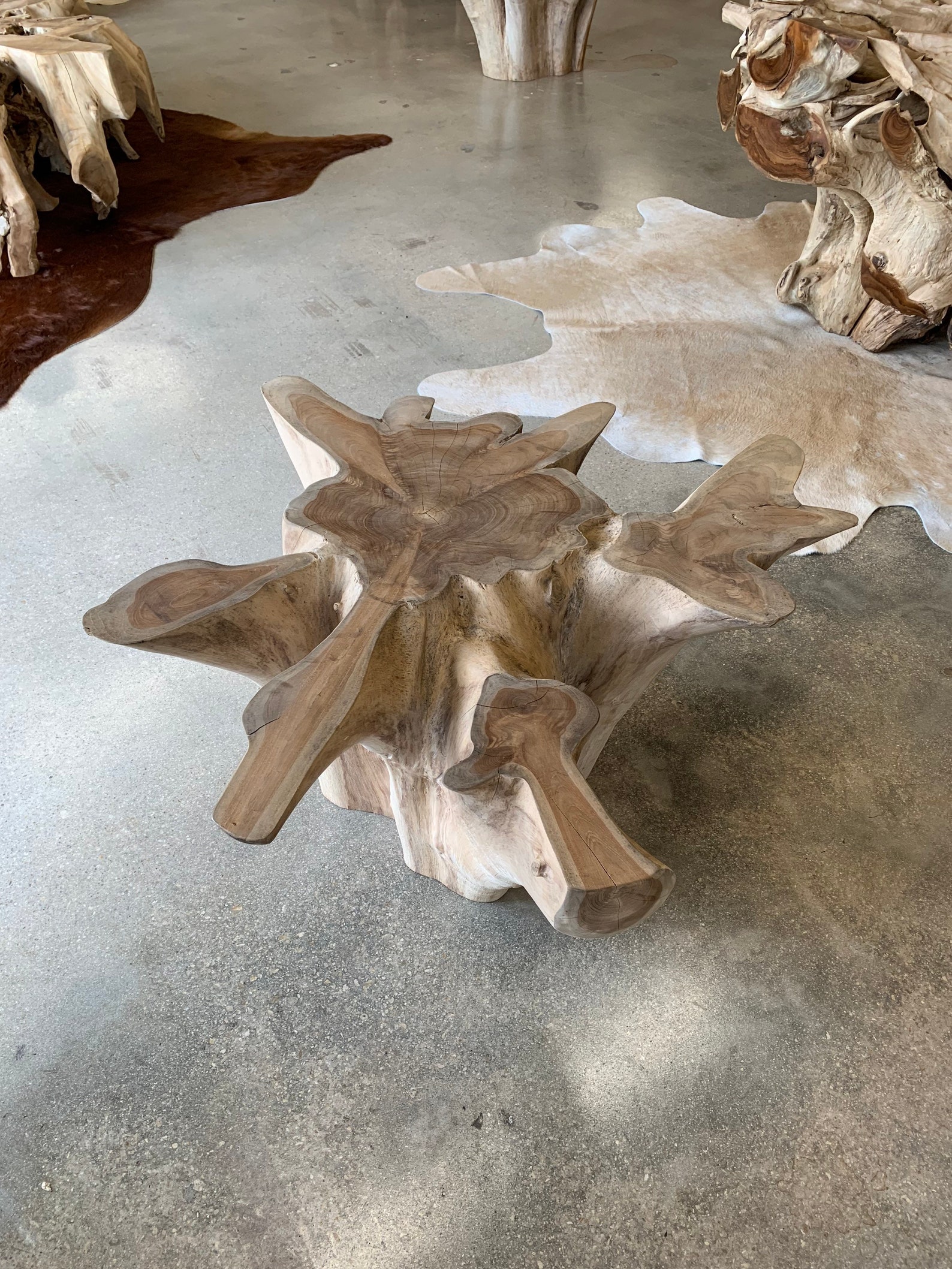 Teak Root Coffee Table Base Etsy