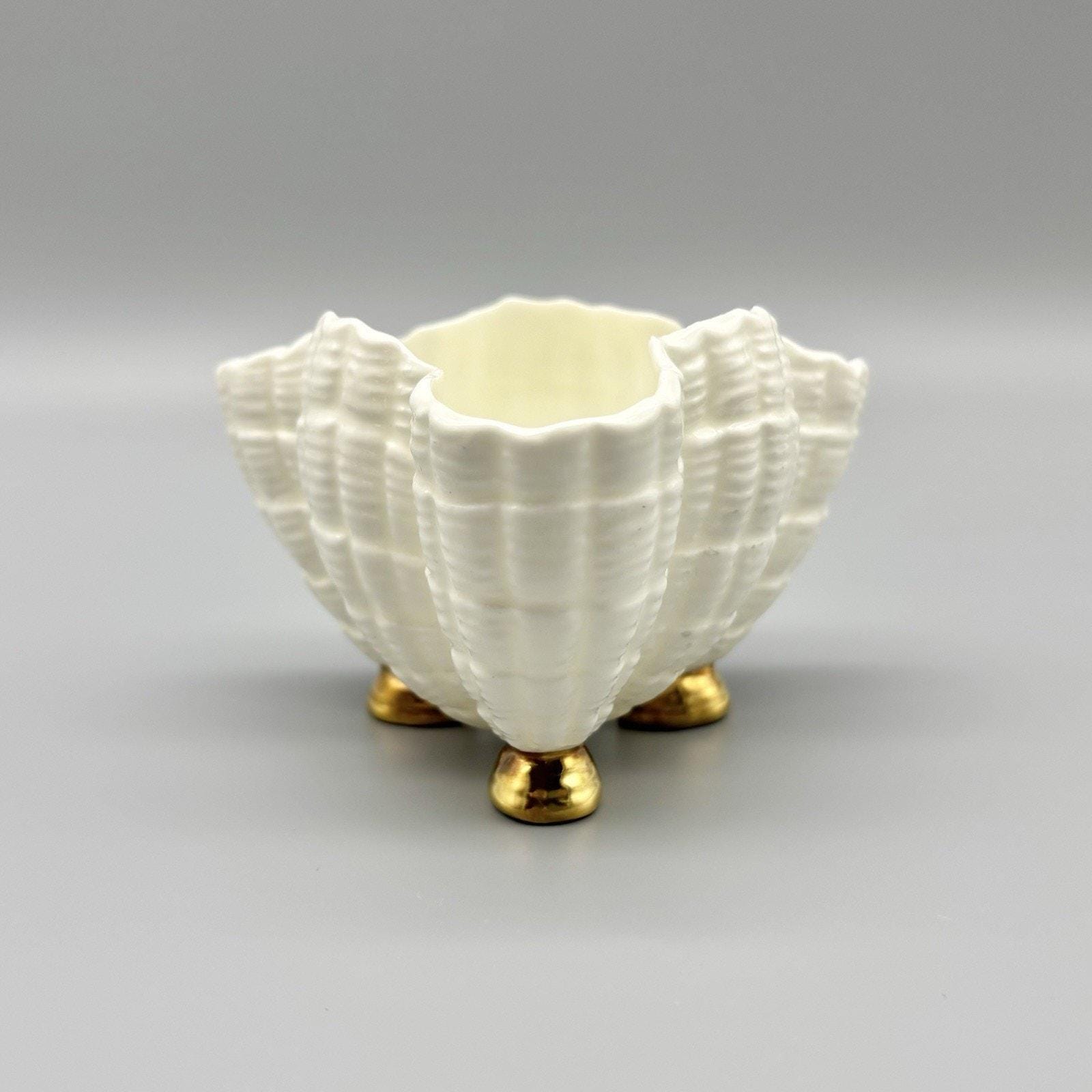 Royal Worcester Shell - Etsy