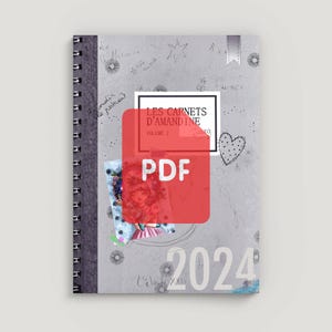 Les Carnets d&#39;Amandine - Volume I