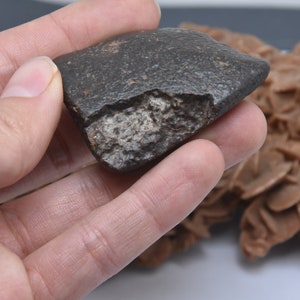 Meteorite del Sahara marocchino erg chigaga Nuova condrite autunnale