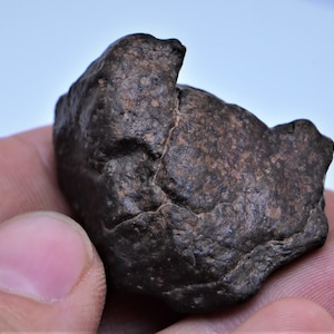 Meteorite Condrite, Meteorite del Sahara marocchino, Meteorite di Erfoud Nuova caduta