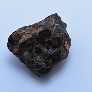 Meteoriti pietrose: Achondrites New Fall Mauritanie