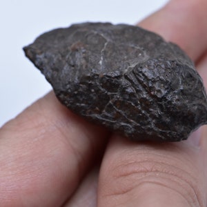 Meteorite Condrite Nuova Caduta