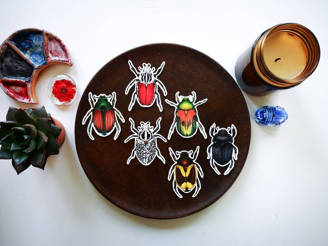 Beetles Vinyl Sticker Pack: Insect Waterproof Sticker Wildlife ...