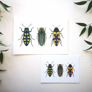 Jewel beetle art print: insect entomology illustration bug tropical wildlife art poster, wall decoration drawing natural history decor image 1