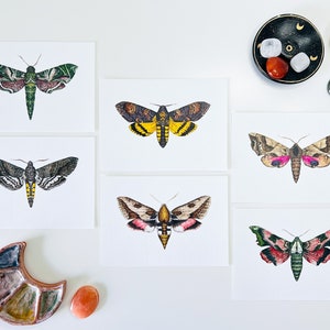 Motte Druck Set A6: Aquarell Insekte Illustration, Entomologie Schmetterling Wandkunst Dekoration, Postkartensammler, Kuriosität und Neugier