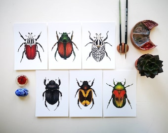 Beetle print set: insect illustration wall art, entomology card, wildlife natural history artprint, oddity and curiosity, insect collector