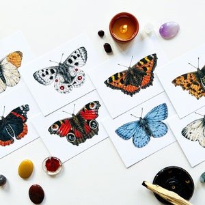 Butterfly print set: butterfly postcard, insect illustration wall art, entomology card, natural history art print, oddity and curiosity