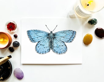 Common blue butterfly original watercolor painting: butterfly artwork, insect illustration painting, wildlife wall art, home decoration
