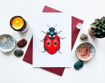 Ladybug art print A5: ladybird beetle entomology watercolour wall art, insect illustration, natural history art, wildlife painting