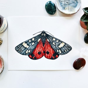 Scarlet Tiger Motte Original Aquarell Malerei: Motte, Insekte Schmetterling Malerei, Wildtier Illustration, Wandkunst, Wohndeko