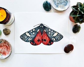 Scarlet tiger moth original watercolour painting: moth artwork, insect butterfly painting, wildlife illustration, wall art, home decoration