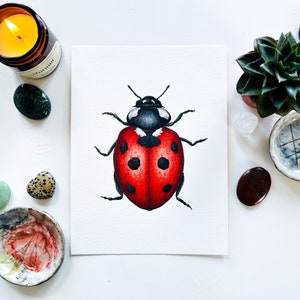 Pittura ad acquerello originale coccinella: opera d'arte di coleotteri, pittura di illustrazione di insetti, arte della parete della fauna selvatica, decorazione domestica