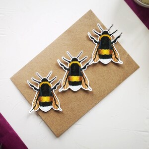 Autocollant en vinyle Bumblebee: art de l’insecte bourdon à queue blanche, papeterie entomologie d’illustration d’abeille, décor de téléphone portable, bizarrerie et curiosité