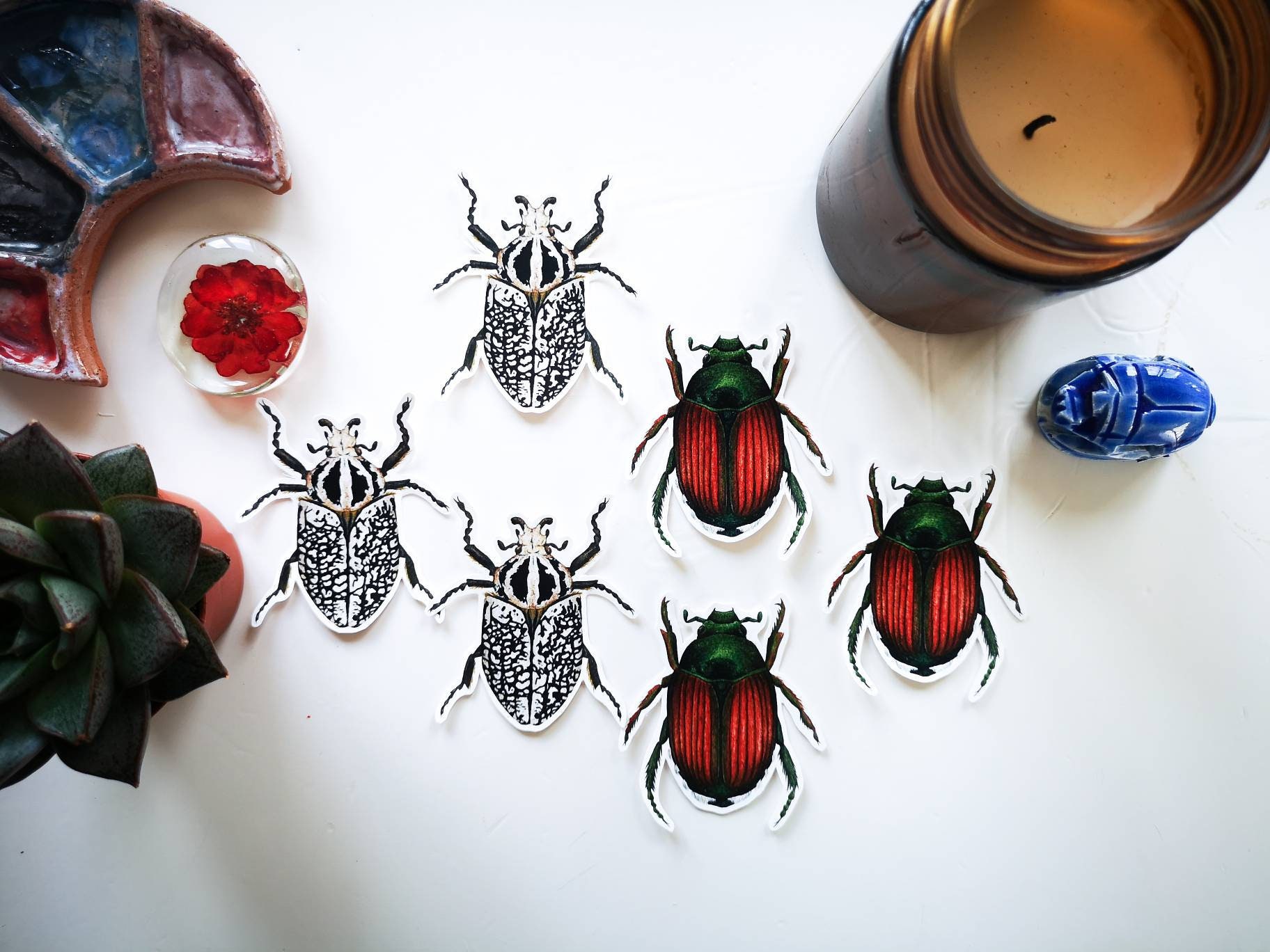 Beetles vinyl sticker pack: insect waterproof sticker | Etsy