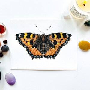 Tortoiseshell butterfly original watercolor painting: butterfly artwork, insect illustration painting, wildlife wall art, home decoration