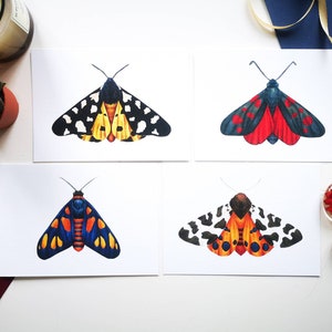 Ensemble d’imprimés de mites A6: décoration murale papillon, illustration d’entomologie d’insectes, affiche inspirée de la nature histoire naturelle art bizarrerie et curiosité