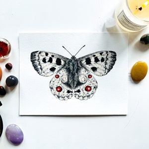 Apollo Schmetterling Original Aquarell Malerei: Schmetterling Kunstwerk, Insekten Illustration Malerei, Wildlife Wandkunst, Wohndeko