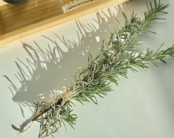 Fresh Cut Rosemary Sprigs